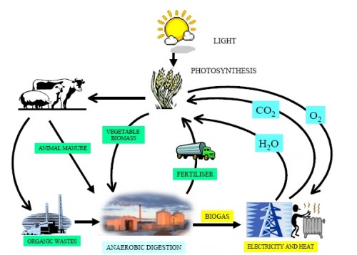 biogas-cycle