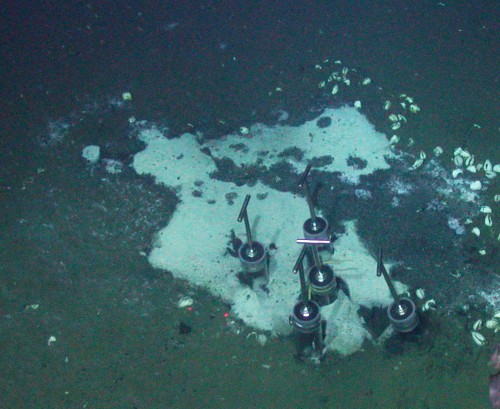 Cores retrieve deep-ocean methane-seep sediment beneath white bacterial mats.