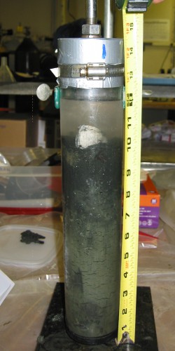 A core from a deep-sea methane seep and clam bed collected by scientists aboard Alvin.