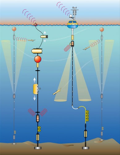 As part of OOI, a global mooring array to collect continuous data will be built.