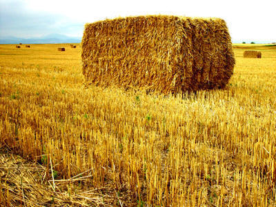 http://www.blog.thesietch.org/wp-content/uploads/2007/06/straw-bale-on-field.jpg